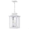 Quoizel Wakefield Outdoor Hanging Lantern WKF1911W - alternate 1